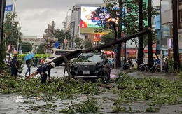TP HCM: Nhiều cây xanh bật gốc, ô tô gặp nạn trên đường Ngô Gia Tự