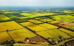 Hơn 32ha đất lúa tại Lương Sơn (Hòa Bình) được chuyển mục đích sang làm khu công nghiệp