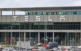 Nhà máy Gigafactory của Tesla ở Đức đang 'đau đầu' vì 65.000 chiếc cốc cà phê biến mất một cách bí ẩn!