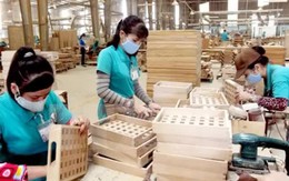 Xuất khẩu gỗ Việt đang rộng cửa vào Hoa Kỳ