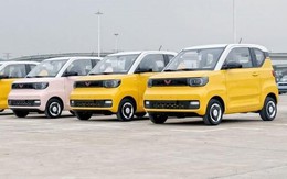 Khách sộp vừa chốt đơn mua cả xe VinFast, Wuling tung ưu đãi lớn: Miễn phí toàn bộ dịch vụ đưa đón trong 1 tuần