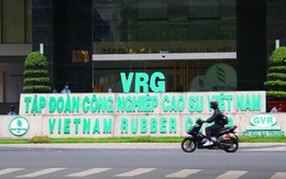 Tập đoàn Cao su (GVR) ước lãi trước thuế quý 2 tăng 27%