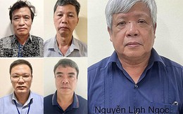 Khởi tố nguyên Thứ trưởng Bộ Tài nguyên và Môi trường Nguyễn Linh Ngọc