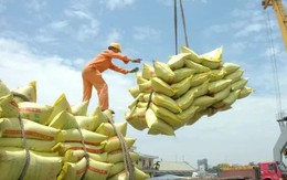 Giá xuất khẩu gạo tăng cao