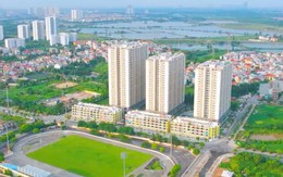 Hà Nội muốn mời đầu tư dự án KĐT hơn 4.400 tỷ ở huyện Thanh Trì, sẽ có tòa NOXH 8 tầng với khoảng hơn 500 căn hộ