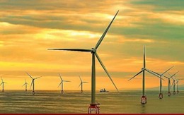Đạt công suất 6.000 MW vào năm 2030, giá điện gió ngoài khơi thế nào?
