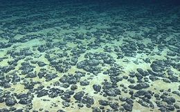 Khối kim loại dưới đáy biển viết lại lịch sử sự sống Trái Đất
