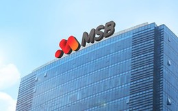 11 cổ đông nắm giữ 35% vốn MSB