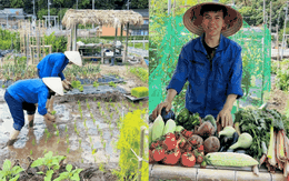 Chuyển khu vườn đủ loại hoa quả miền Tây sang Nhật, 2 thanh niên Việt nhận phản ứng lạ từ hàng xóm