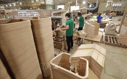 Chế biến và xuất khẩu gỗ chọn hướng đi mới