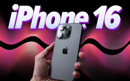 Người Việt 'cuồng' iPhone: Có mẫu bán chạy nhất thị trường, mẫu lại được tìm kiếm nhiều nhất hiện nay