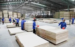 Xuất khẩu gỗ và lâm sản đạt gần 8 tỷ USD trong nửa đầu năm 2024