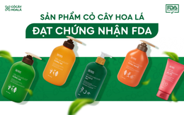 Đạt chứng nhận FDA, Cỏ Cây Hoa Lá sẵn sàng “ra biển lớn”