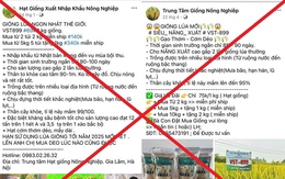 Mua lúa giống trên mạng, hàng ngàn người bị lừa đảo số tiền 7,8 tỷ đồng