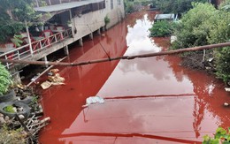 Tìm ra nguyên nhân khiến nước sông Nàng Âm ở Cà Mau có màu đỏ bất thường