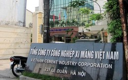 Thanh tra Tổng Công ty Xi măng Việt Nam và 3 công ty con
