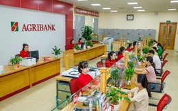 Agribank báo lãi 6 tháng đầu năm 2024 sụt giảm so với cùng kỳ, vẫn lọt Top 5 ngân hàng lãi cao nhất