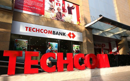 13 tổ chức và cá nhân nắm giữ cổ phiếu trên 1% tại Techcombank