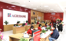 Agribank tăng lãi suất tiết kiệm lần đầu tiên sau gần 2 năm