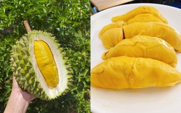 Sầu riêng Musang King - hàng hiếm giá trên trời bỗng rớt thảm