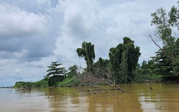 Quay cuồng trong cơn khát cát: Cát tặc hoành hành, bãi cồn teo tóp