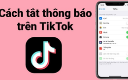 Cách tắt thông báo bài đăng trên TikTok