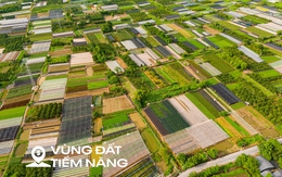 Đại dự án khu công nghệ cao sinh học, tổng vốn đầu tư hơn một tỷ USD, rộng bằng nửa quận Hoàn Kiếm giờ ra sao?