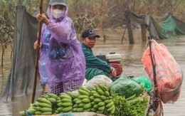 Nước lũ dâng cao, nông dân bãi giữa sông Hồng chèo thuyền mang nông sản đi bán