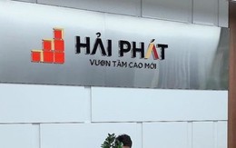 'Sếp phó' Hải Phát xin từ chức sau hơn 4 tháng bổ nhiệm