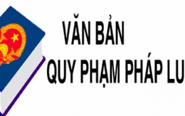 Bãi bỏ 20 Quyết định, Thông tư về công chức, viên chức, bổ nhiệm, xếp lương,...