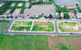 Đất đấu giá vùng ven Hà Nội hơn 100 triệu đồng/m2 là bất thường