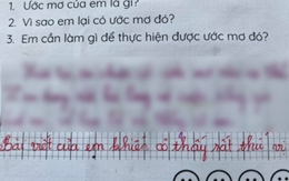 Học sinh tiểu học viết 2 câu về ước mơ khiến cô giáo phải phê "rất thú vị", cư dân mạng ào ào vào "xin vía"