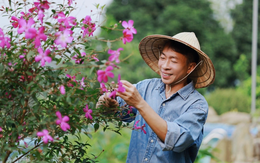 Nam NSƯT được mệnh danh là "ông hoàng nhạc đỏ": U60 ly hôn vợ đẹp kém 18 tuổi, sống như nông dân trong nhà vườn 10.000m2