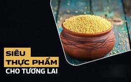 Việt Nam sở hữu 'siêu thực phẩm' mang về trăm triệu USD: Loại này được 2,6 tỷ người ăn hàng ngày