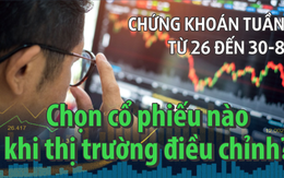 Chứng khoán tuần tới (từ 26 đến 30-8): Chọn cổ phiếu nào khi thị trường điều chỉnh?