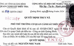 Truy nã Phó Tổng Giám đốc Newpot Quốc tế Nguyễn Như Nam