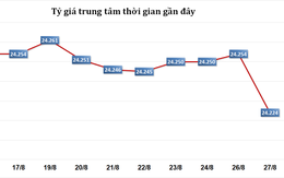 Sáng 27/8: Tỷ giá trung tâm giảm 30 đồng