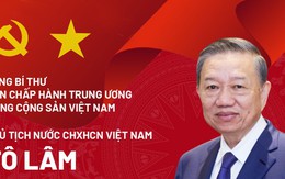 Chân dung Tổng Bí thư, Chủ tịch nước Tô Lâm