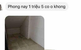 Đoạn tin nhắn của 2 sinh viên khiến nhiều phụ huynh đọc xong khóc rưng rưng nước mắt, càng đọc càng thương các con