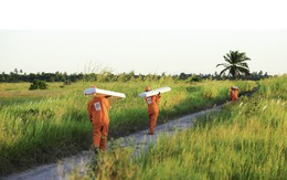 Doanh thu kỷ lục, thị phần dẫn đầu 7 thị trường, tập đoàn viễn thông lớn nhất Việt Nam lời lãi ra sao?