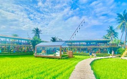 'Cởi trói' cho loại hình đất nông nghiệp kết hợp homestay, farmstay