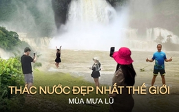 Dù ngập trong mưa lũ nhưng “thác nước đẹp nhất thế giới” tại Việt Nam vẫn đông đúc khách đặt tour