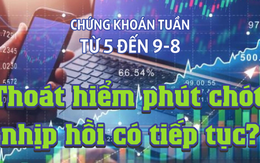 Chứng khoán tuần tới (từ ngày 5 đến 9-8): Thoát hiểm phút chót, nhịp hồi có tiếp tục?