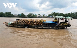 Giá nhiều loại trái cây ở Tiền Giang và Bến Tre tăng cao do thiếu nguồn cung