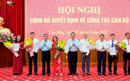 Chỉ định Bí thư thư Huyện ủy; bổ nhiệm 3 Phó Giám đốc Sở,...