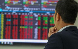 MASVN: VN-Index có thể "nhúng" xuống vùng 1.050-1.150 điểm trong tháng 8