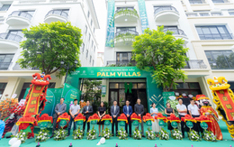 Hơn 1000 lượt khách tham quan nhà mẫu Palm Villas trong ngày khai trương