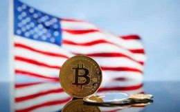 Kế hoạch dự trữ Bitcoin của ông Trump gây tranh cãi