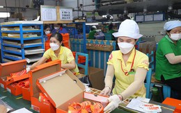 Doanh nghiệp ở Đồng Nai vừa tuyên bố chi 20 tỷ đồng cho 42.000 nhân sự đi du lịch đang làm ăn ra sao?