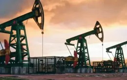 Dòng vốn đầu tư khổng lồ đổ về "vựa vàng đen"